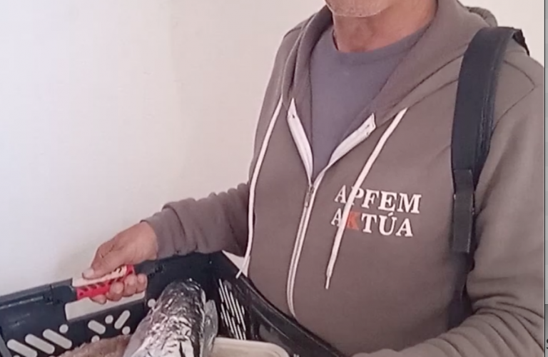 Centro especial de empleo apfem ibiza